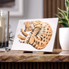 Cute Tabby Bengal Cat Kitten Nap Watercolor Art Ceramic Photo Tile