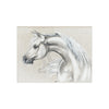 Arabian Horse Pencil Drawing Fine Art Ceramic Photo Tile Home Decor