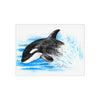 Baby Orca Whale Watercolor Art Ceramic Photo Tile 6 × 8 / Matte Home Decor