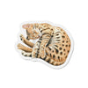 Bengal Kitten Nap Watercolor Art Die-Cut Magnets 2 X / 1 Pc Home Decor
