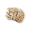 Bengal Kitten Nap Watercolor Art Die-Cut Magnets 3 X / 1 Pc Home Decor