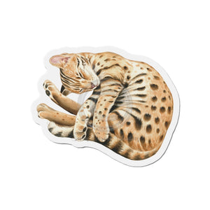 Bengal Kitten Nap Watercolor Art Die-Cut Magnets 6 × / 1 Pc Home Decor
