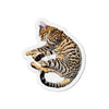 Bengal Kitten Napping Comic Style Crosshatching Die-Cut Magnets 2 X / 1 Pc Home Decor