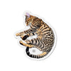 Bengal Kitten Napping Comic Style Crosshatching Die-Cut Magnets 5 X / 1 Pc Home Decor
