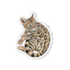 Cute Bengal Kitten Watercolor Die-Cut Magnets 3 X / 1 Pc Home Decor
