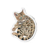 Cute Bengal Kitten Watercolor Die-Cut Magnets 4 X / 1 Pc Home Decor
