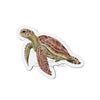 Green Sea Turtle Art Die-Cut Magnets 2 X / 1 Pc Home Decor
