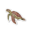 Green Sea Turtle Art Die-Cut Magnets 3 X / 1 Pc Home Decor