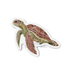 Green Sea Turtle Art Die-Cut Magnets 4 X / 1 Pc Home Decor