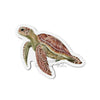 Green Sea Turtle Art Die-Cut Magnets 5 X / 1 Pc Home Decor