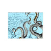 Grey Kraken Octopus On Vintage Map Nautical Ink Art Ceramic Photo Tile Home Decor