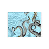 Grey Kraken Octopus On Vintage Map Nautical Ink Art Ceramic Photo Tile Home Decor