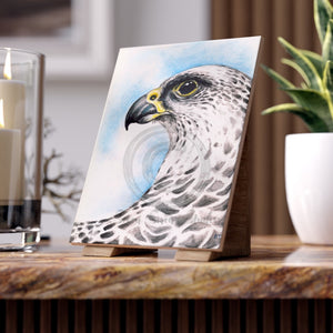 Gyr Falcon Watercolor Art Ceramic Photo Tile 6 × 8 / Glossy Home Decor