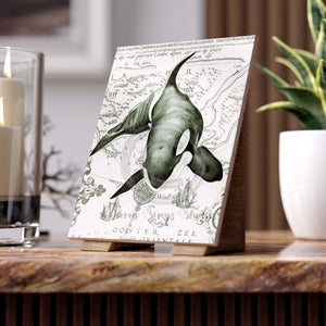 Orca Whale Green Ancient Vintage Map Sea Watercolor Art Ceramic Photo Tile 6 × 8 / Glossy Home Decor