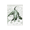 Orca Whale Green Ancient Vintage Map Sea Watercolor Art Ceramic Photo Tile Home Decor