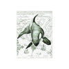 Orca Whale Green Ancient Vintage Map Sea Watercolor Art Ceramic Photo Tile Home Decor
