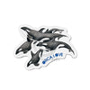 Orca Whale Pod Family Love Watercolor Art Die-Cut Magnets 5 X / 1 Pc Home Decor