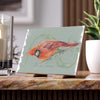 Red Cardinal Bird Colored Pencil Art Ceramic Photo Tile Home Decor