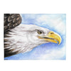 Bald Eagle Portrait Watercolor Art Velveteen Plush Blanket 60 × 80 All Over Prints
