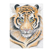 Bengal Tiger Gaze Watercolor Art Velveteen Plush Blanket 60 × 80 All Over Prints