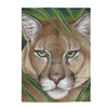 Cougar In Tall Grass Pastel Art Velveteen Plush Blanket 30 × 40 All Over Prints