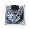 Cute Kitten Blue Square Pillow Home Decor