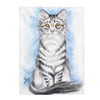 Cute Silver Tabby Kitten Cat Watercolor Art Velveteen Plush Blanket 60 × 80 All Over Prints