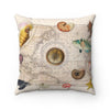 Marine Treasures Vintage Map Beige Square Pillow 14X14 Home Decor