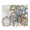 Steel Blue Octopus Tentacles Vintage Map Light Chic Watercolor Art Velveteen Plush Blanket 50 × 60